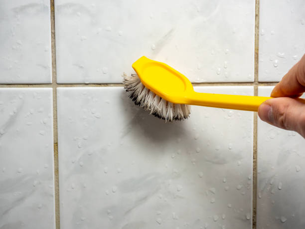 Best Professional Mold Removal  in Hialeah, FL